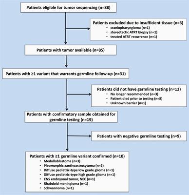 Looking beyond year 1 in the molecular era of pediatric brain tumor diagnosis: confirmatory testing of germline variants found on tumor sequencing